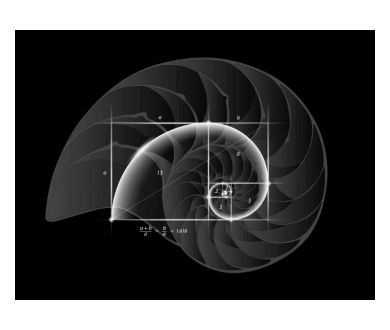 Maths et magie : Initions-nous à la magie des mathématiques et du nombre d'or !