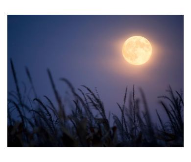 Coïncidence : Une Lune des Moissons en un Vendredi 13 !