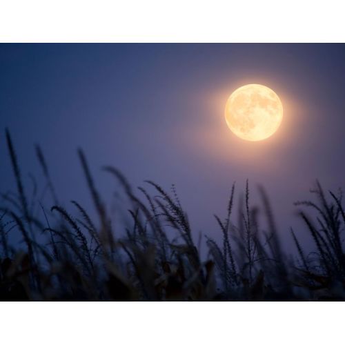 Coïncidence : Une Lune des Moissons en un Vendredi 13 !