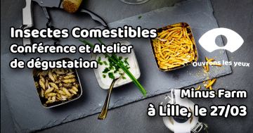 Insectes Comestibles et Atelier de dégustation